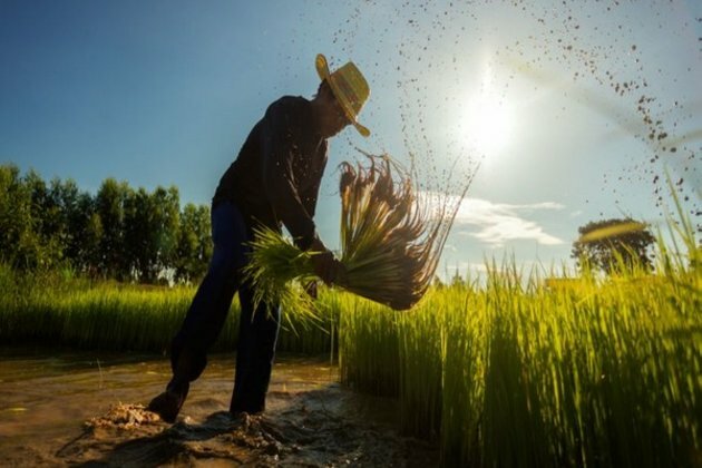 ADB pledges USD 14 billion for food security in Asia and Pacific by 2025