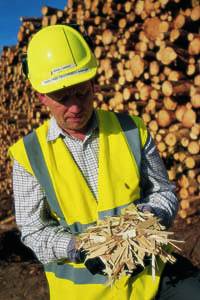 EU Timber Regulations, March 2013 - are you ready?