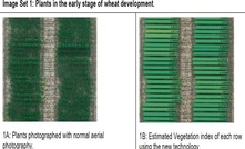 Smarter drones deliver low-cost precision agriculture for Aussie farmers