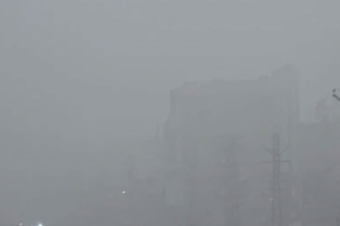 Rajasthan: Dense fog blankets Dholpur and Dausa districts; State wakes up to sharp drop in temperature
