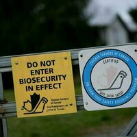 AI is for the birds: How machine learning can help predict and manage avian flu outbreaks