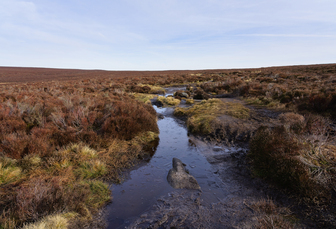 Defra unveils £50m peatland restoration package