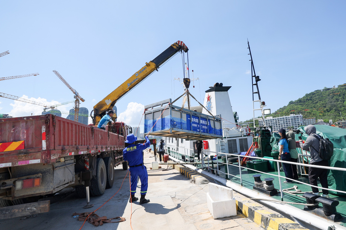 CHINA-HAINAN-SANYA-STRANDED DOLPHIN-RETURN TO SEA (CN)