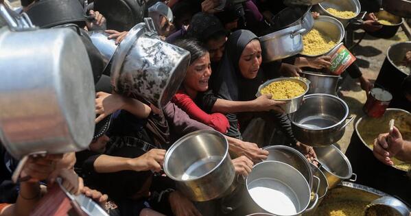 Senior EU officials, 24 FMs pledge urgent action to stop starvation in Gaza