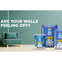 Ever Wonder Why Fresh Paint Starts Peeling? Your Walls Might Look Fine--But Are They Built to Last?