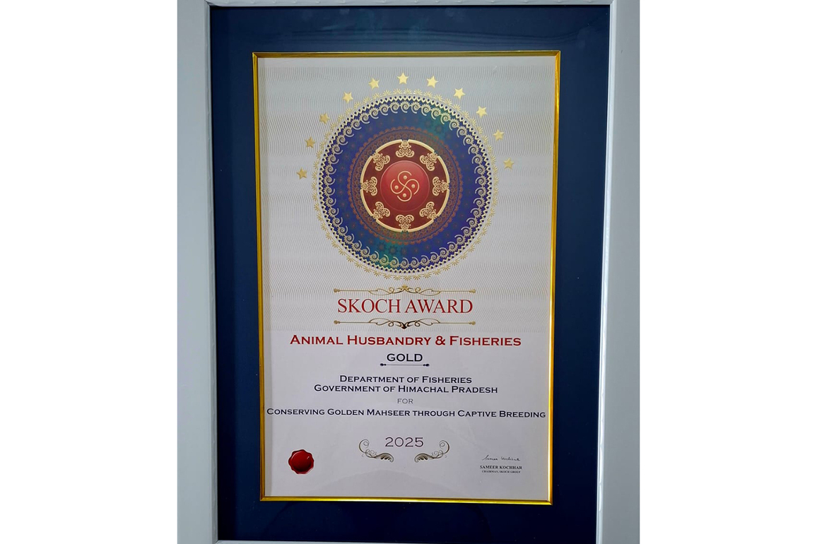 Himachal Fisheries Dept honoured with prestigious SKOCH Gold Award 2025; CM congratulates dept