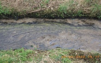 Farm business fined more than £15,000 after silage clamp 'leaks' pollution into a watercourse