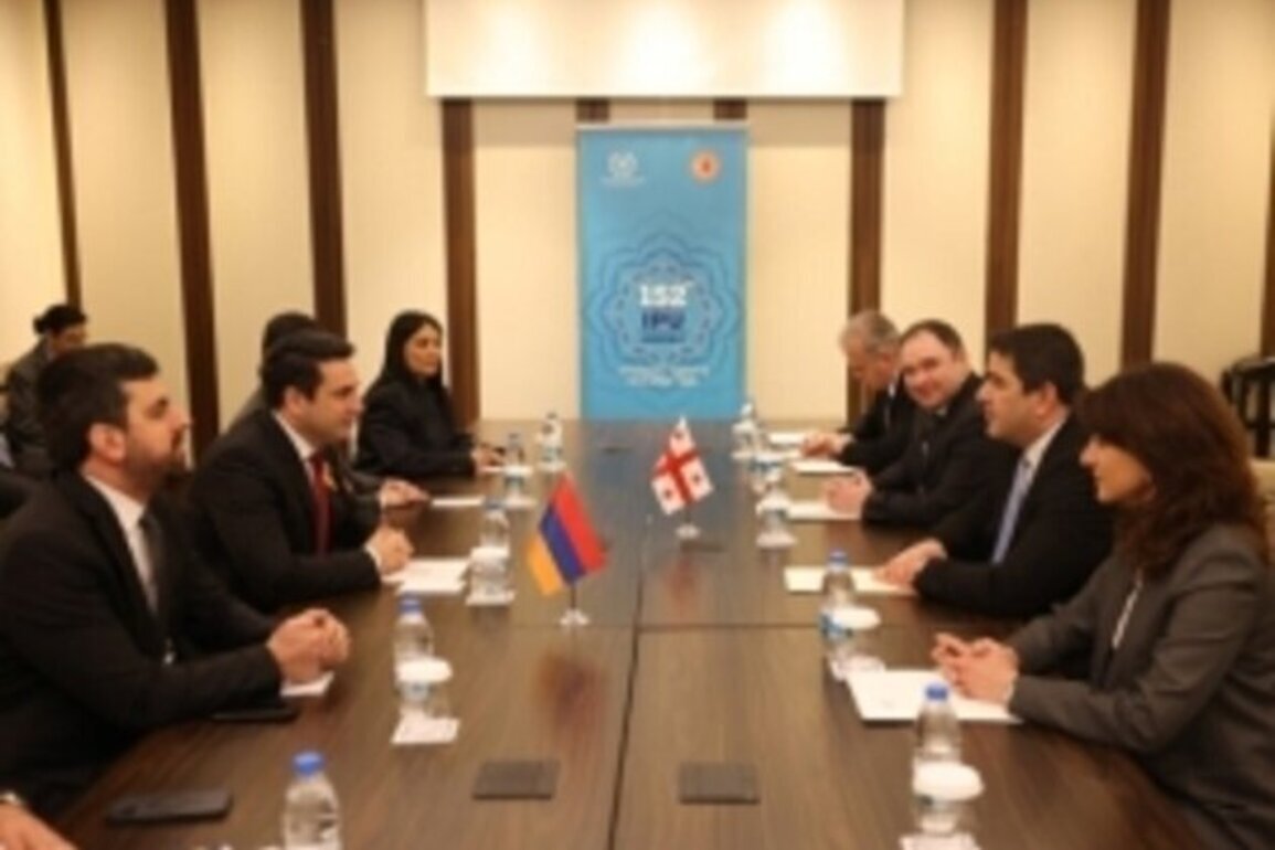 Simonyan, Papuashvili discuss cooperation in Istanbul