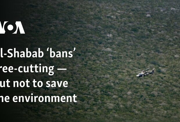 Al-Shabab bans tree-cutting but not to save the environment