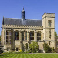Other countries gain as US limits international student enrolment