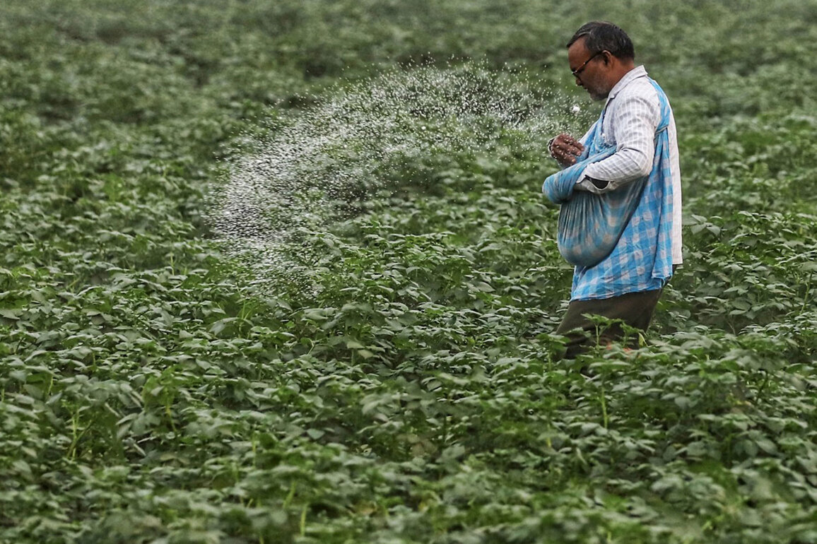 Govt steps up fertilizer imports; IPL issues global urea tender amid West Asia tensions