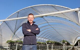 In your field: Dan Hawes – "We've just started commercially picking our glasshouse strawberry crop, so do keep an eye out for British strawberries on the shelves very soon"
