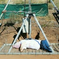 How do bodies decompose? Cape Town forensic scientists are pushing frontiers of new detection methods