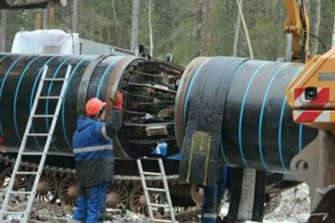 China warming to new Russian mega gas pipeline - WSJ