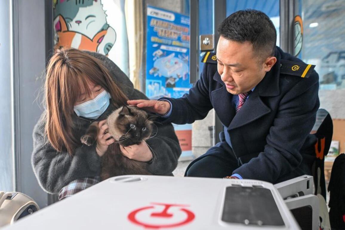 China's Spring Festival travel rush features more comfort, variety