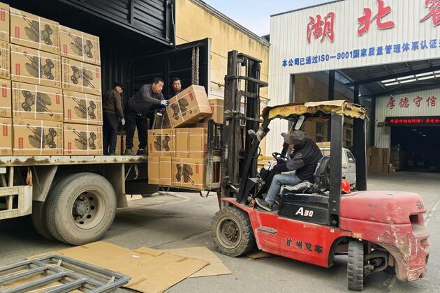 Innovation drives central China's stroller industry to global markets