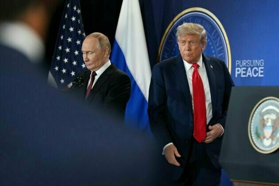 Trump-Putin summit: Veteran diplomat explains why putting peace deal before ceasefire wouldn't end Ukraine War
