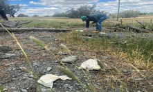 Sampling at Christmas Gift