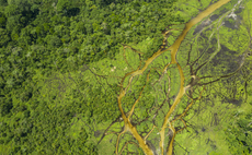Study: Protecting tropical forests could save pharmaceutical industry up to $1.2tr
