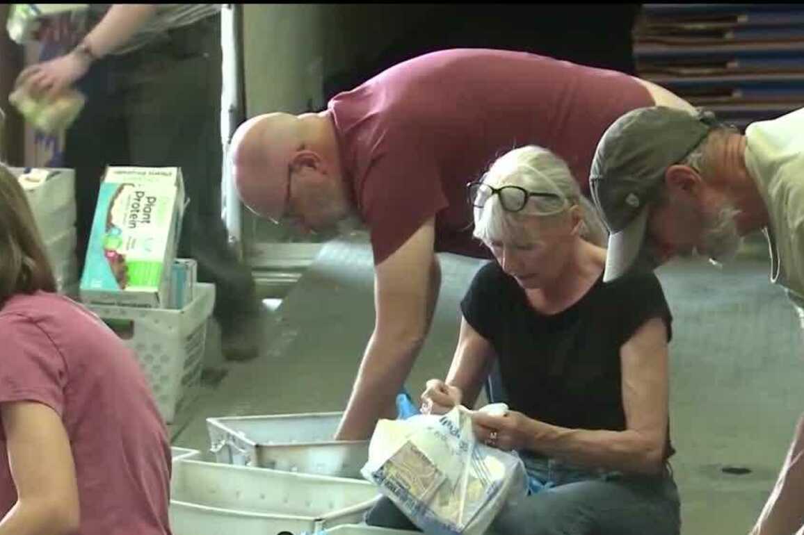 US Rep. Melanie Stansbury says food banks and SNAP are at risk