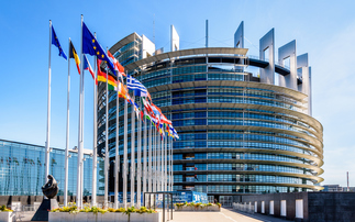 'A new standard for corporate responsibility': European Parliament approves new supply chain sustainability rules