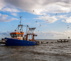 Government confirms launch of enhanced fish stock monitoring