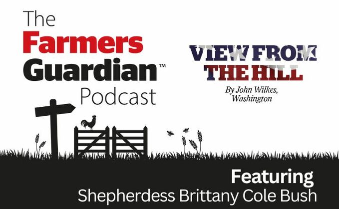 The Farmers Guardian podcast: Taking the heat out of California wildfires using sheep and goats