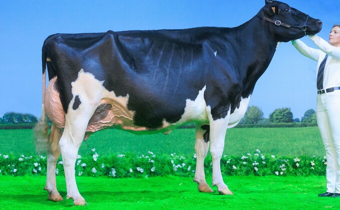 Mag Pandor