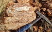  High-grade spodumene appears abundant at Andover