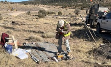  The Wedding Bell project 