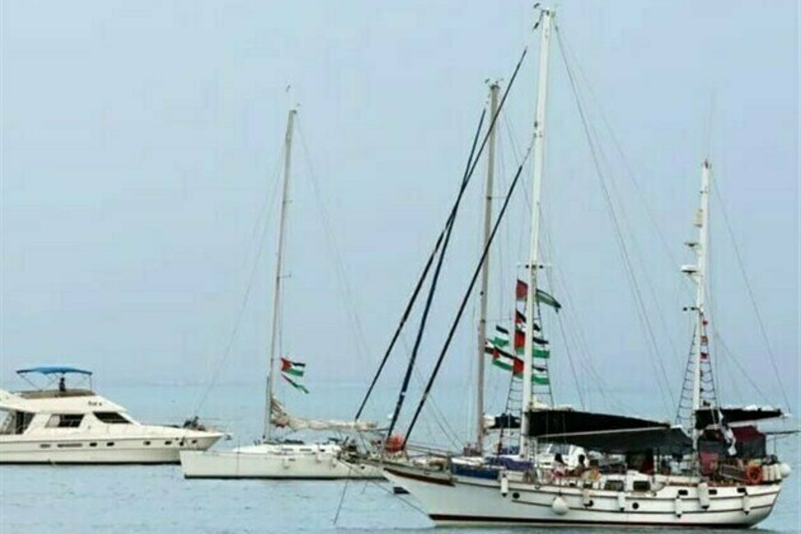Israeli Drone Targets Gaza Aid Flotilla Ship off Tunisian Coast