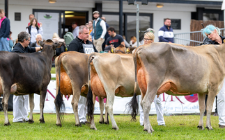 ROYAL WELSH SHOW: Holstein clinches dairy supreme title
