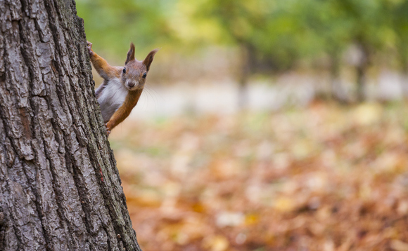 Credit: iStock Credit: iStock