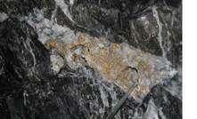  More gold veins have been found deep in the former nickel mine at Beta Hunt in Western Australia
