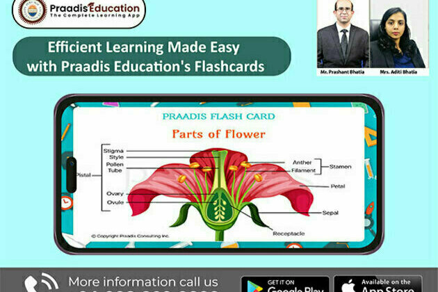 Efficient learning made easy with Praadis Education's flashcards