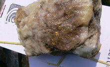 Ouro visível em amostra do projeto Cuiú Cuiú,  da Cabral