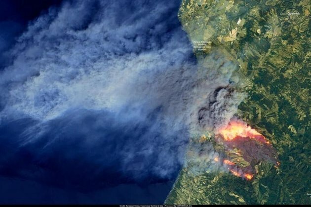 Record heat warning as forest fires rage in Spain and Portugal