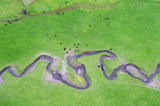 #CHINA-GANSU-DINGXI-GRASSLAND-SCENERY (CN)