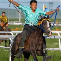 60"FlyOverChina | Drone view reveals thrilling horse racing at Nadam Festival