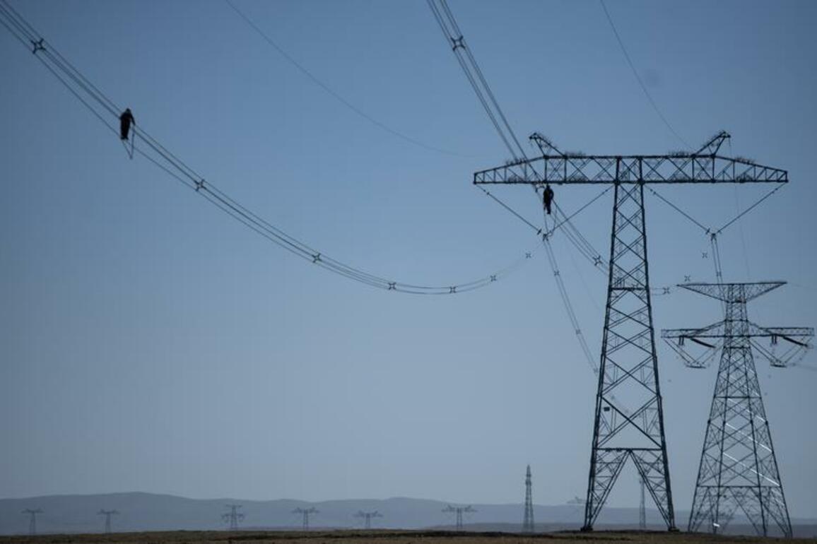 Artificial nests boost biodiversity of "China's water tower"