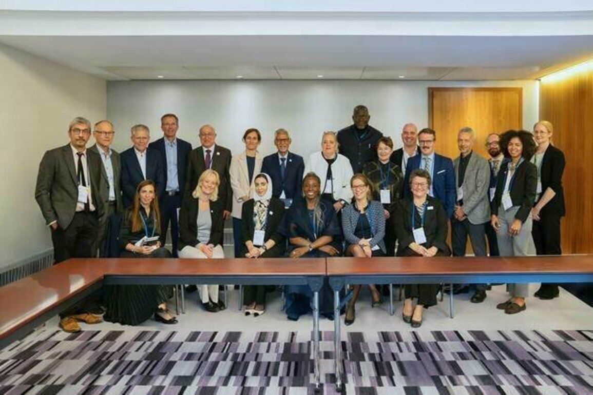 DIHAD Sustainable Organisation, IFRC, UNU-IIGH co-host high-level roundtable discussion at World Health Summit in Berlin