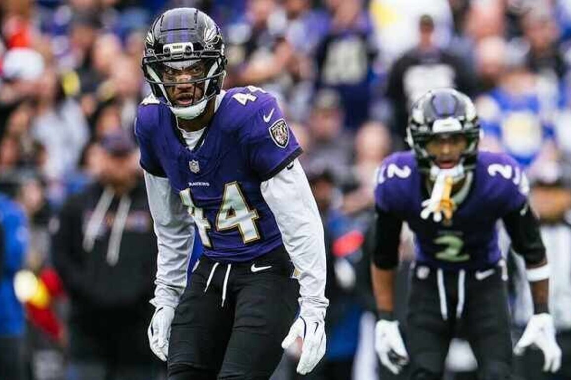 Ravens Inactives in Steelers AFC North Title Game