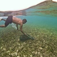 Human connections to seagrass meadows date back 180,000 years, study reveals