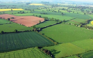 Researchers secure £300,000 to help farms hit net zero
