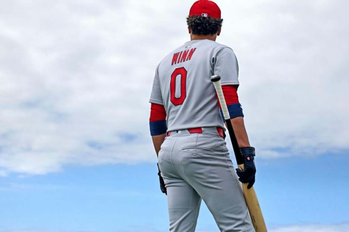 St. Louis Cardinals 2025 preview- Finding the way back