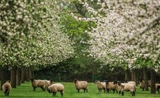 #FarmingCAN diversify and support local communities: 'To be recognised for our work behind telling the story of the farm is fantastic'