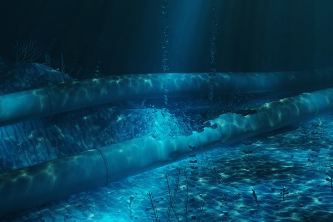 German insurers renew Nord Stream coverage Reuters