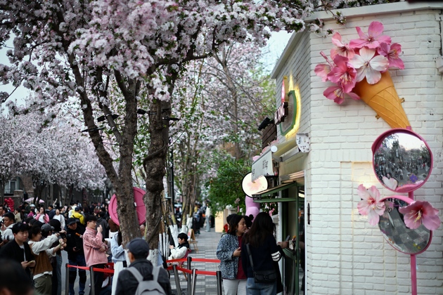 CHINA-TIANJIN-CRABAPPLE BLOSSOM FESTIVAL (CN)