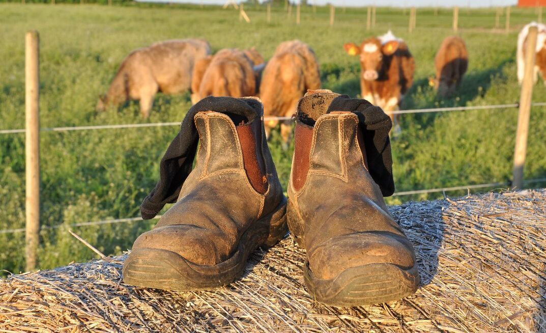 Another life has been lost on an Australian farm.