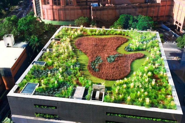 How buildings in Johannesburg could benefit from green roofs